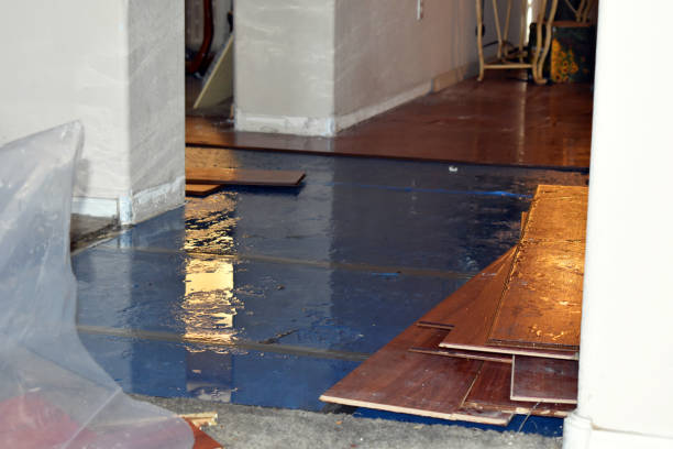 Professional Flood Cleanup technician working in Armada, MI